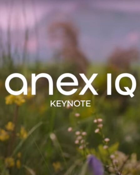 anex_baby_IQ