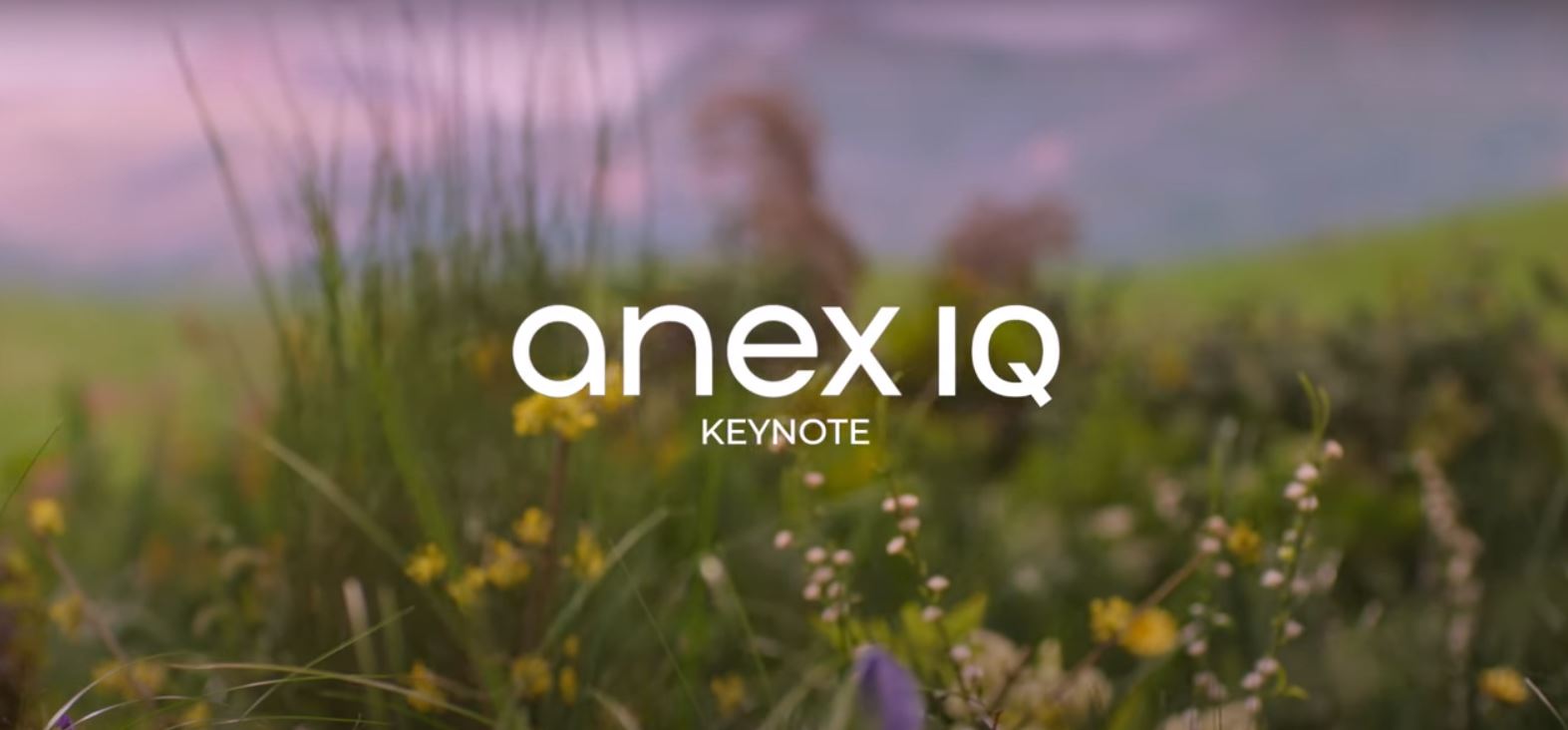 anex_baby_IQ